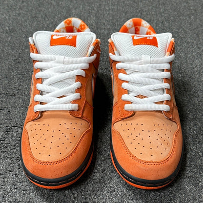 Dunk SB Orange Lobster