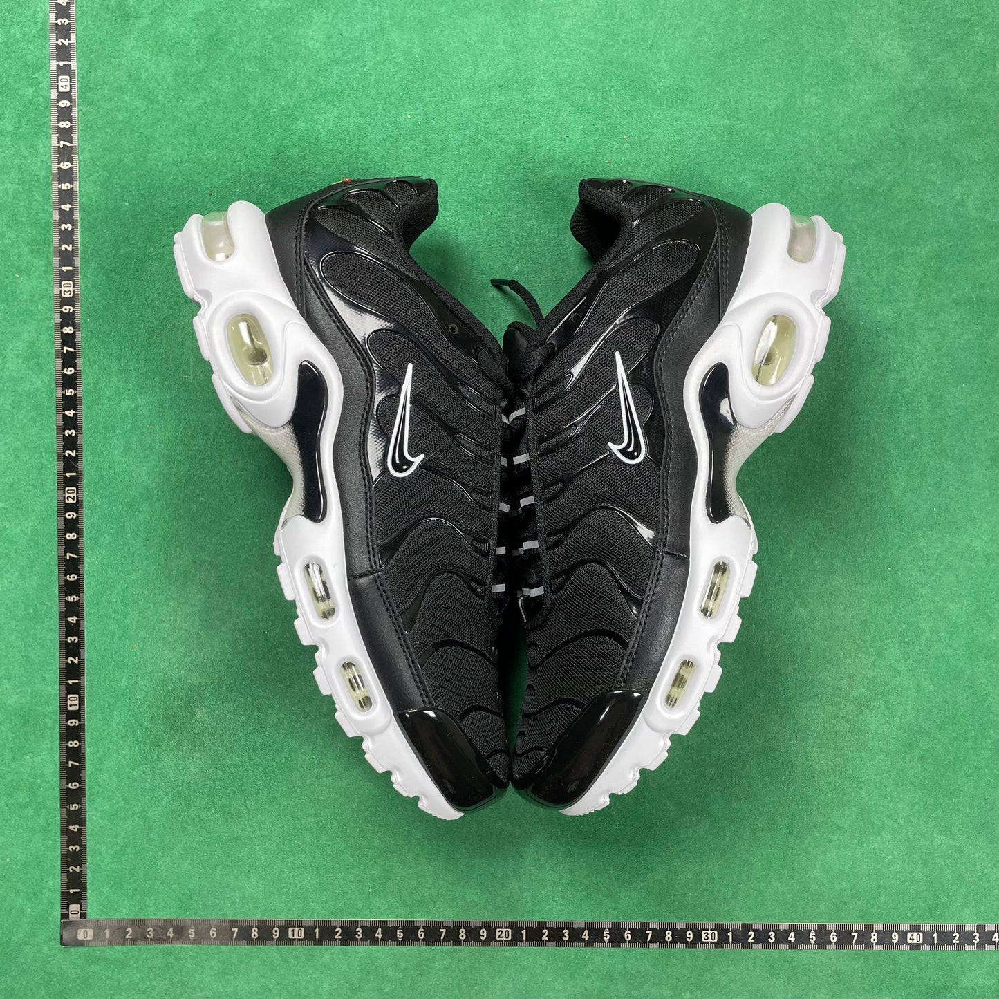 TN Black And White