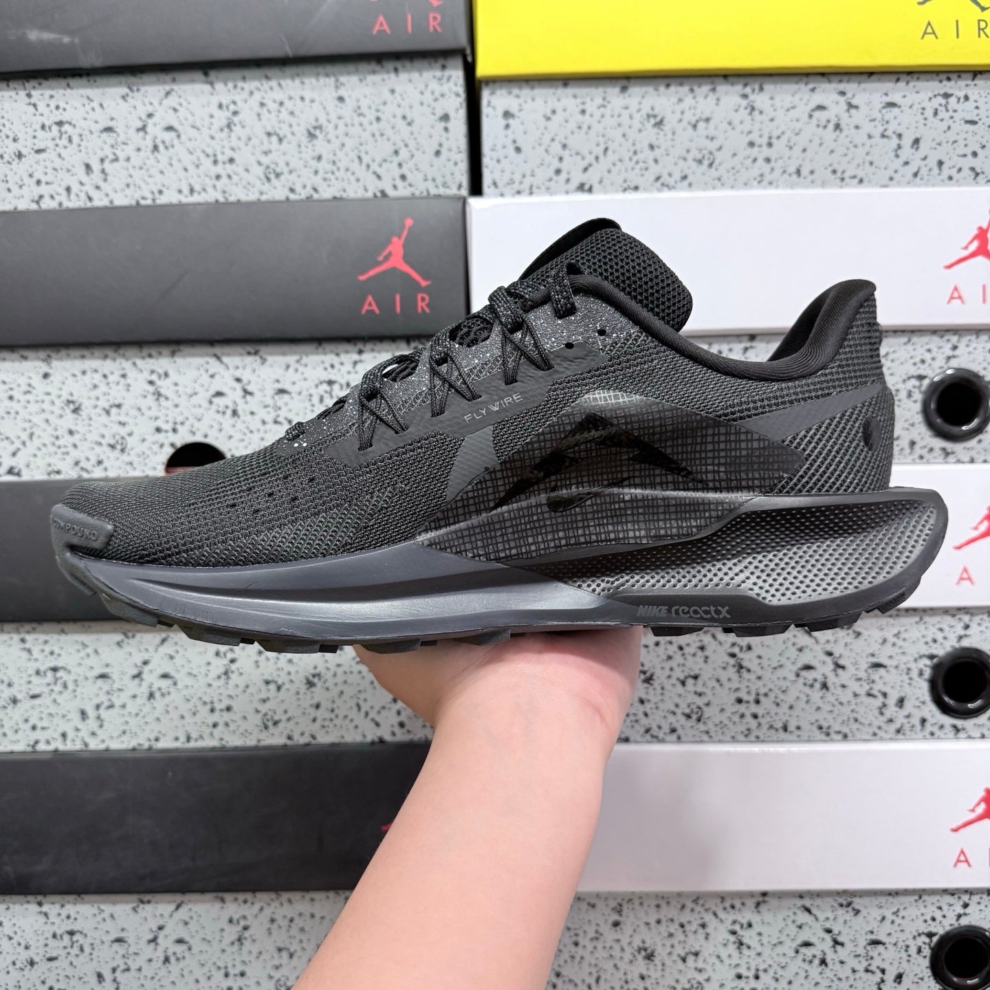 Pegasus Trail 5 Black