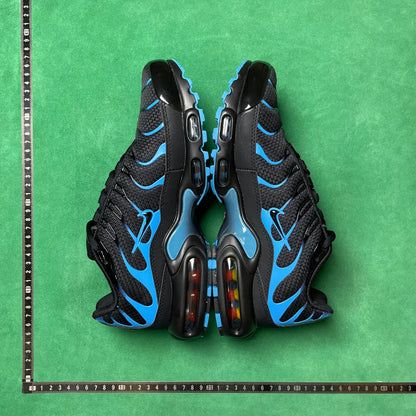 TN Black Royal Blue