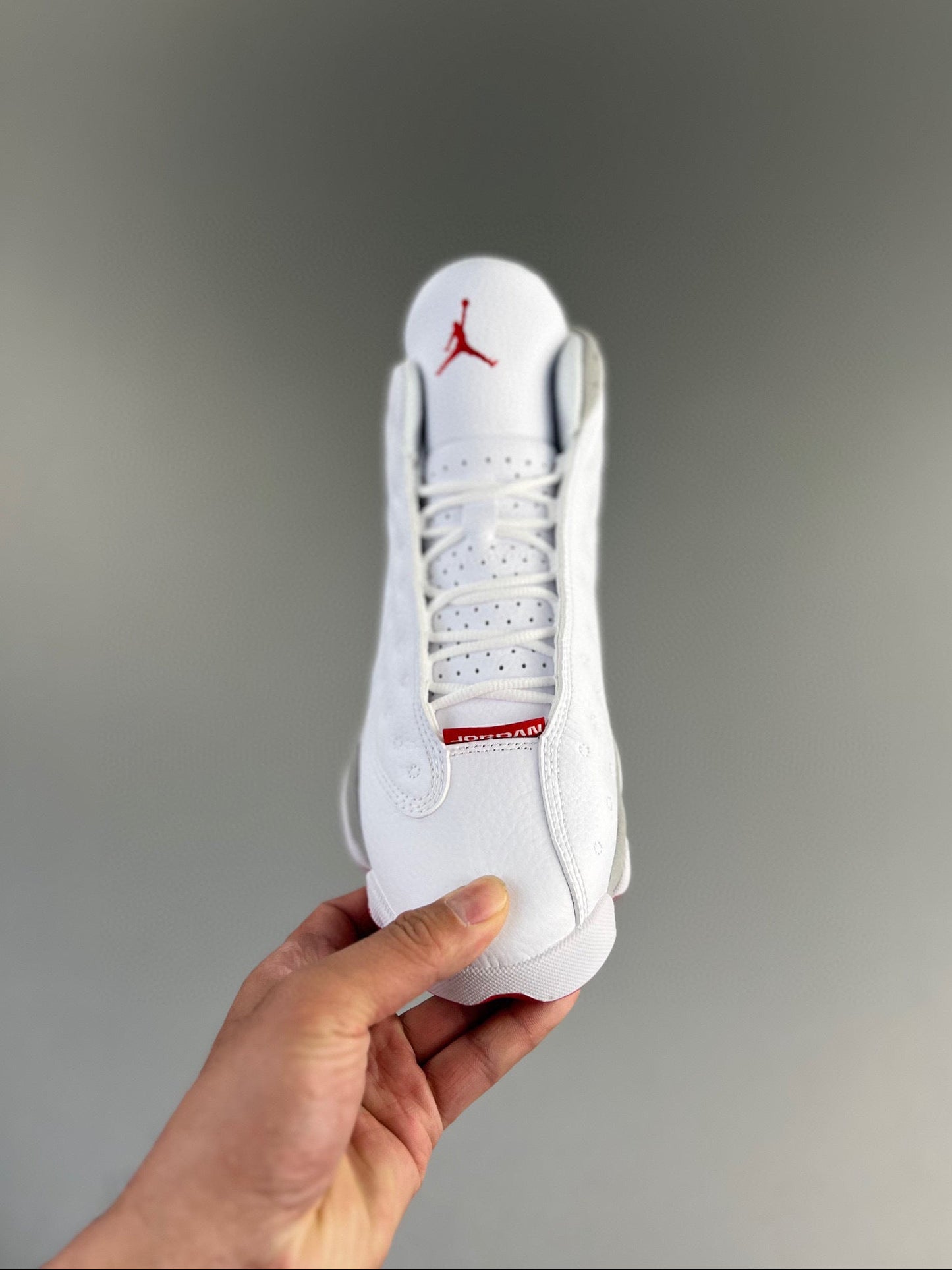 13 Wolf Grey