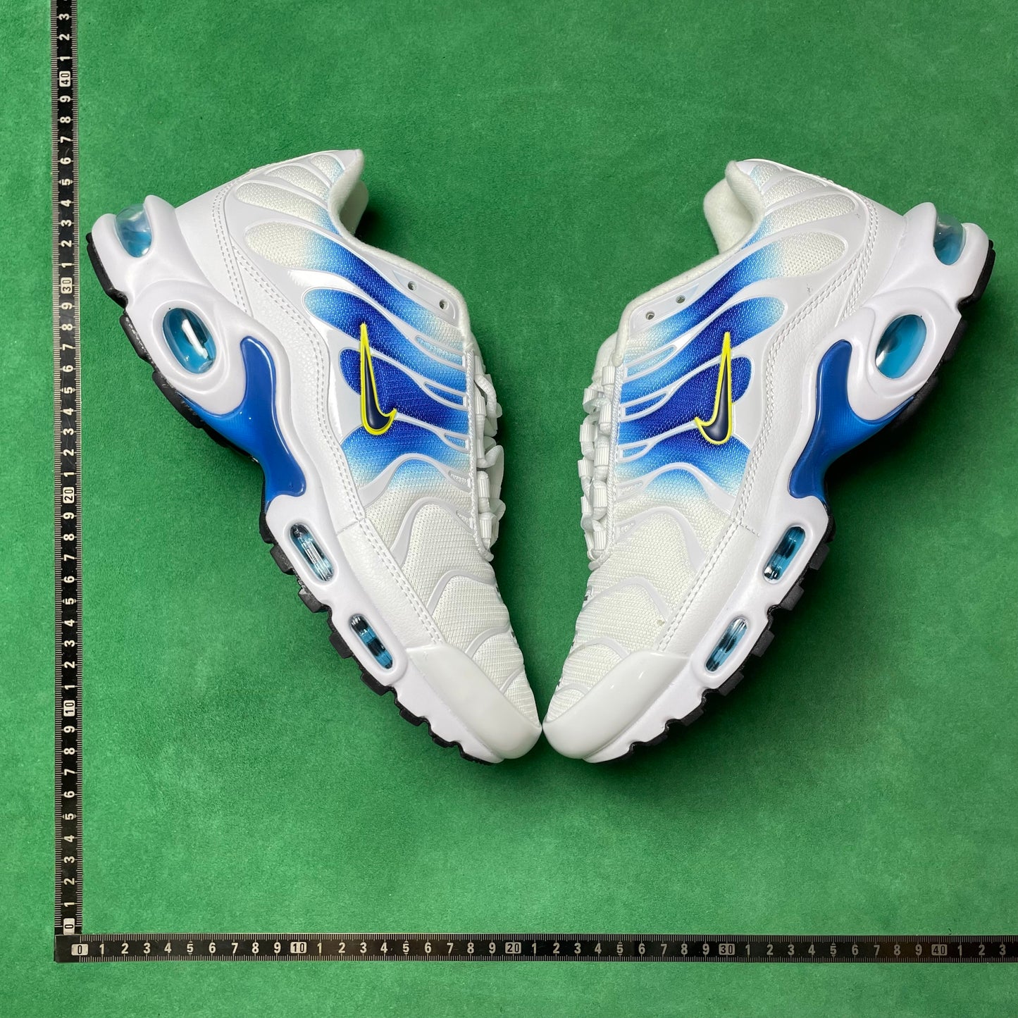 TN White University Blue Gold