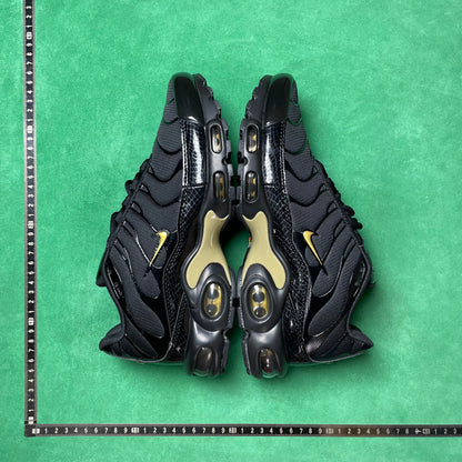 TN Black & Metallic Gold