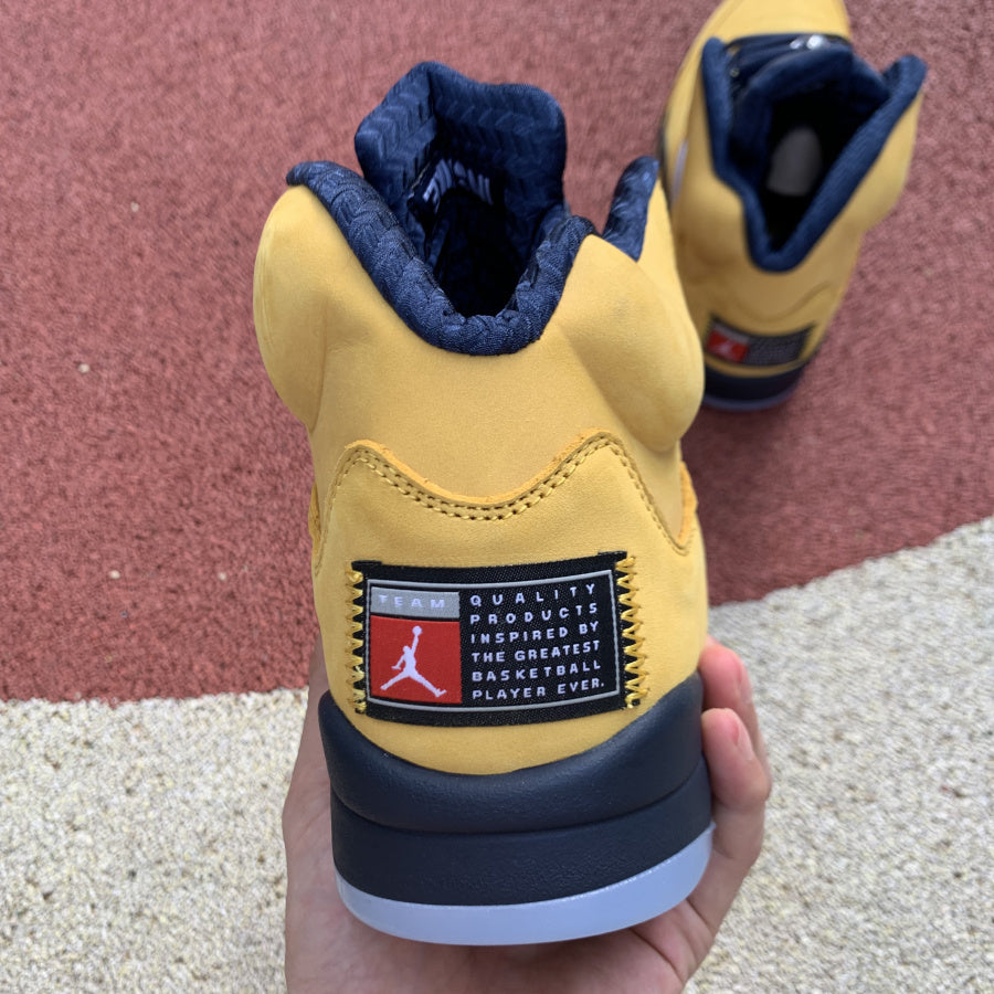 AJ 5 Retro Michigan