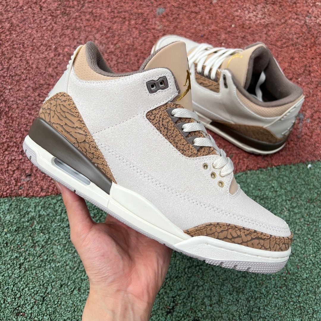 AJ3 Palomino