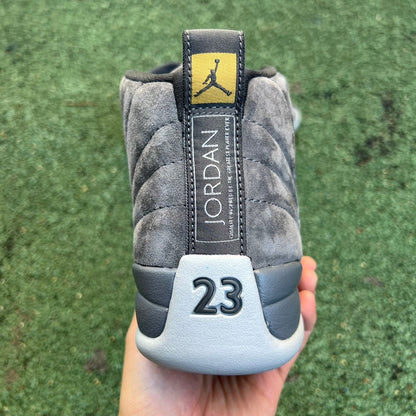 12 Grey Frog