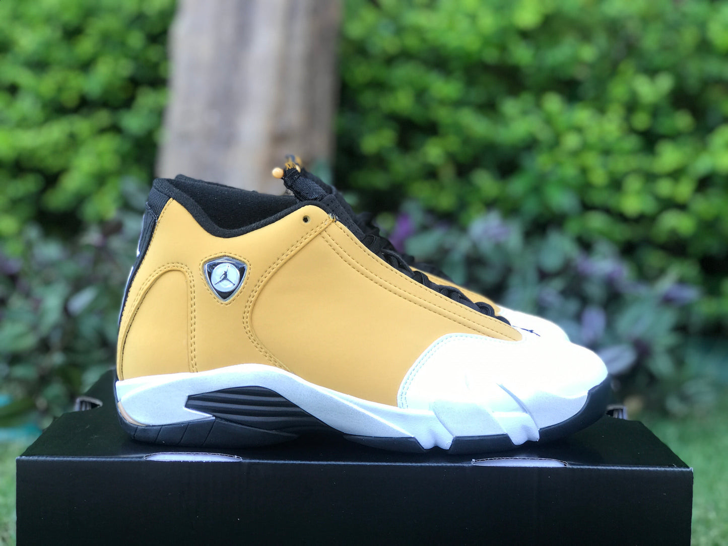 AJ14 Ginger