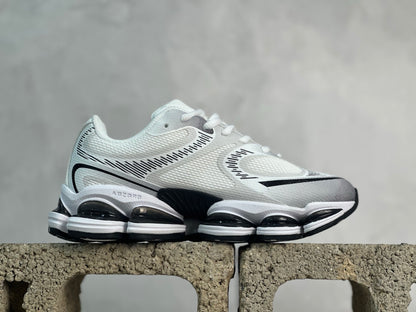 2000 Silver and White