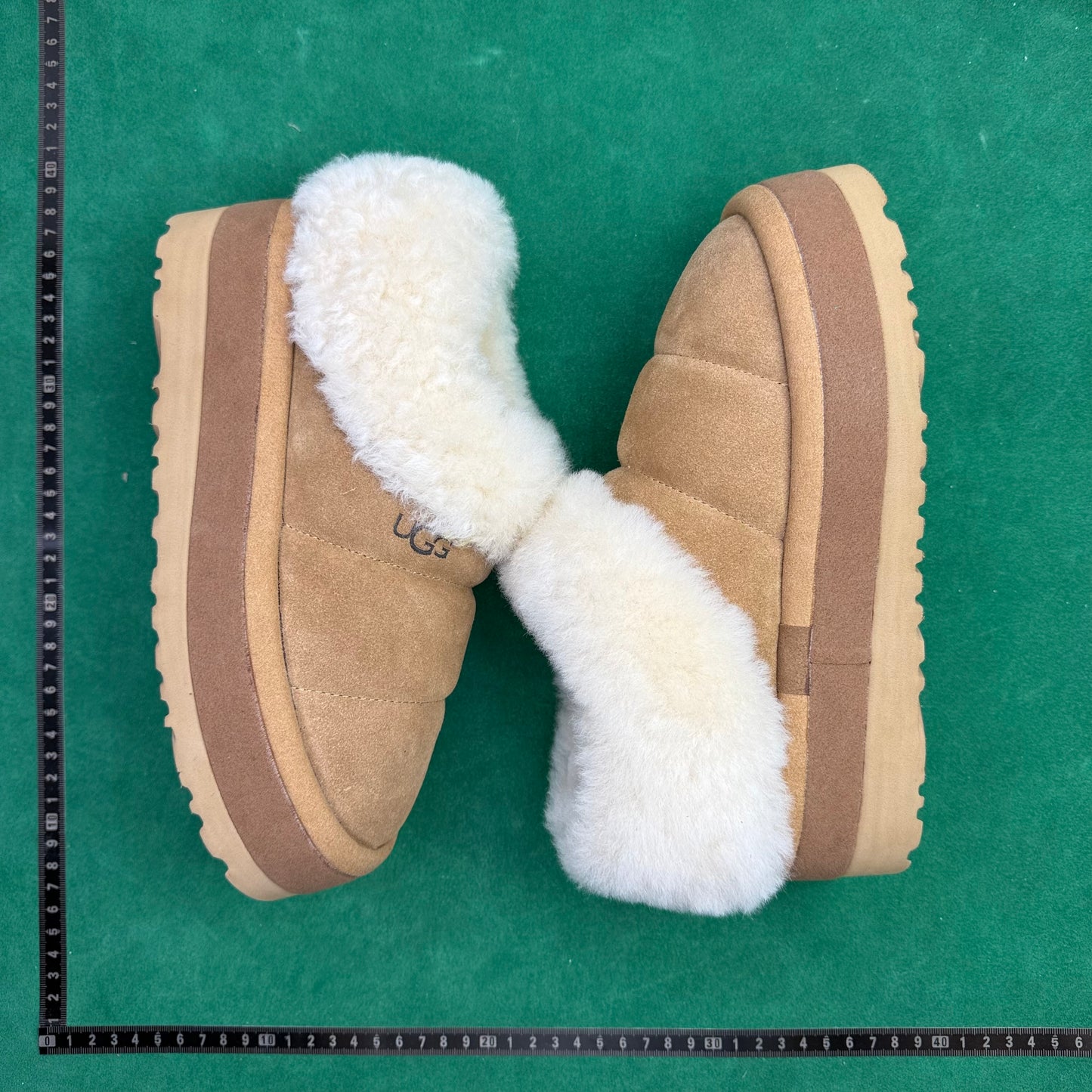 TT UGG Tazzlita