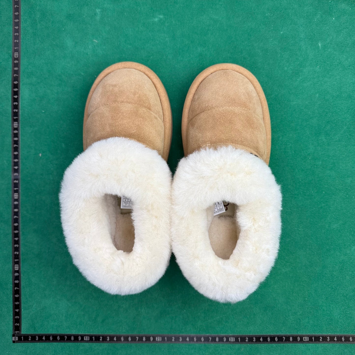 TT UGG Tazzlita