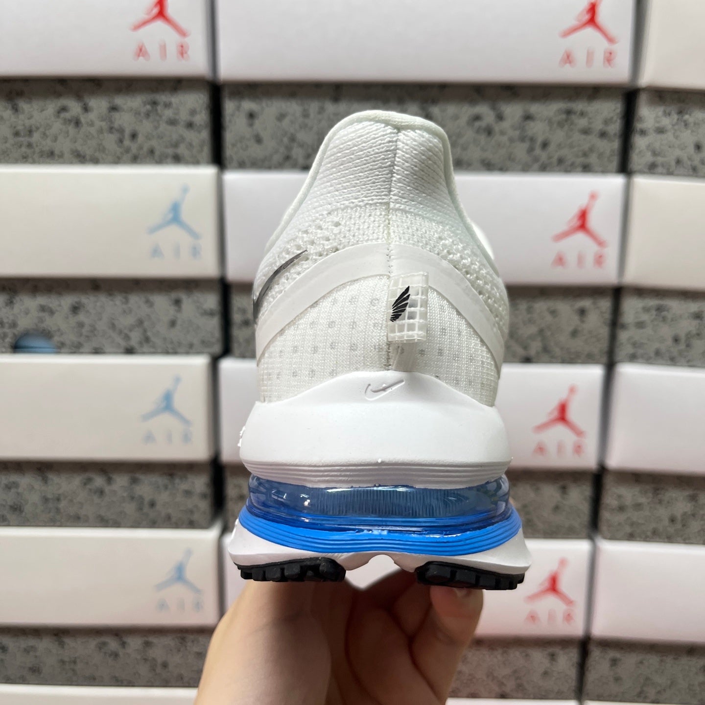 Pegasus Premium White/Blue