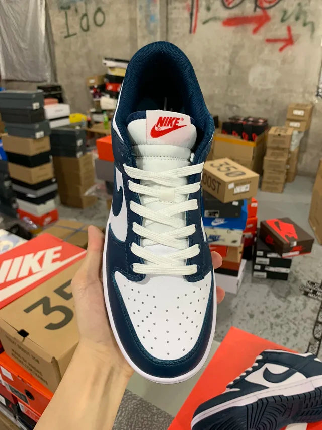Dunk SP Valerian Blue