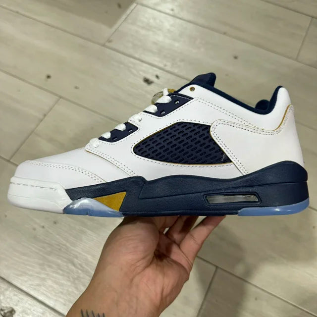 AJ 5  Low Dunk From Above
